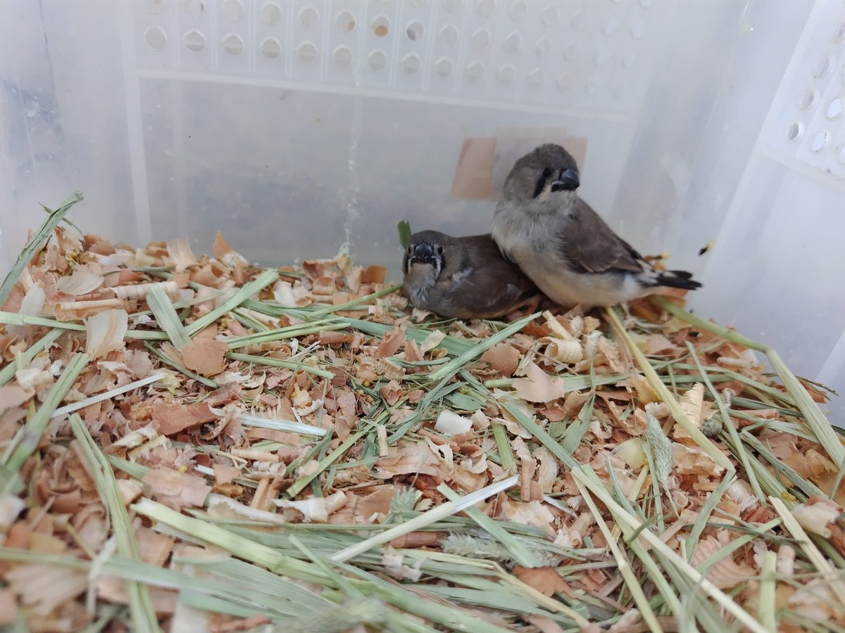 Ｊ・アシスト tweet media