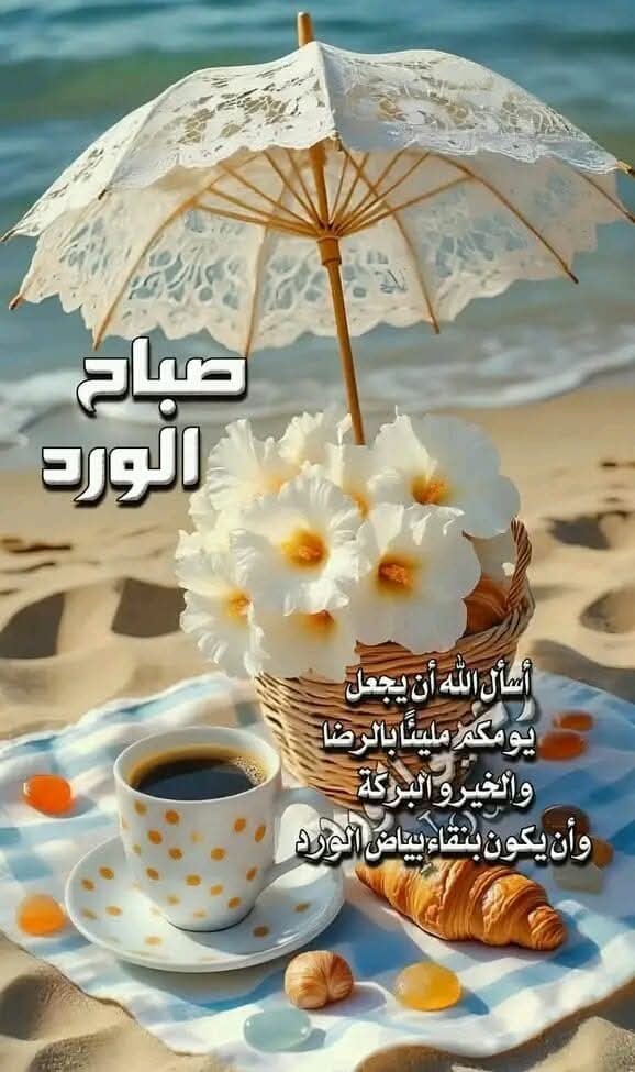 ZEZOOALI's tweet photo. https://t.co/JY53Nylqc8