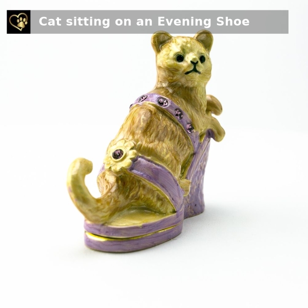furrbabygifts's tweet image. Check out this product 😍 Cat sitting on an Evening Shoe 😍 
by keren kopal starting at $76.99. 
Shop now 👉👉 shortlink.store/d0nrhbhk8br8

#dogs #cats