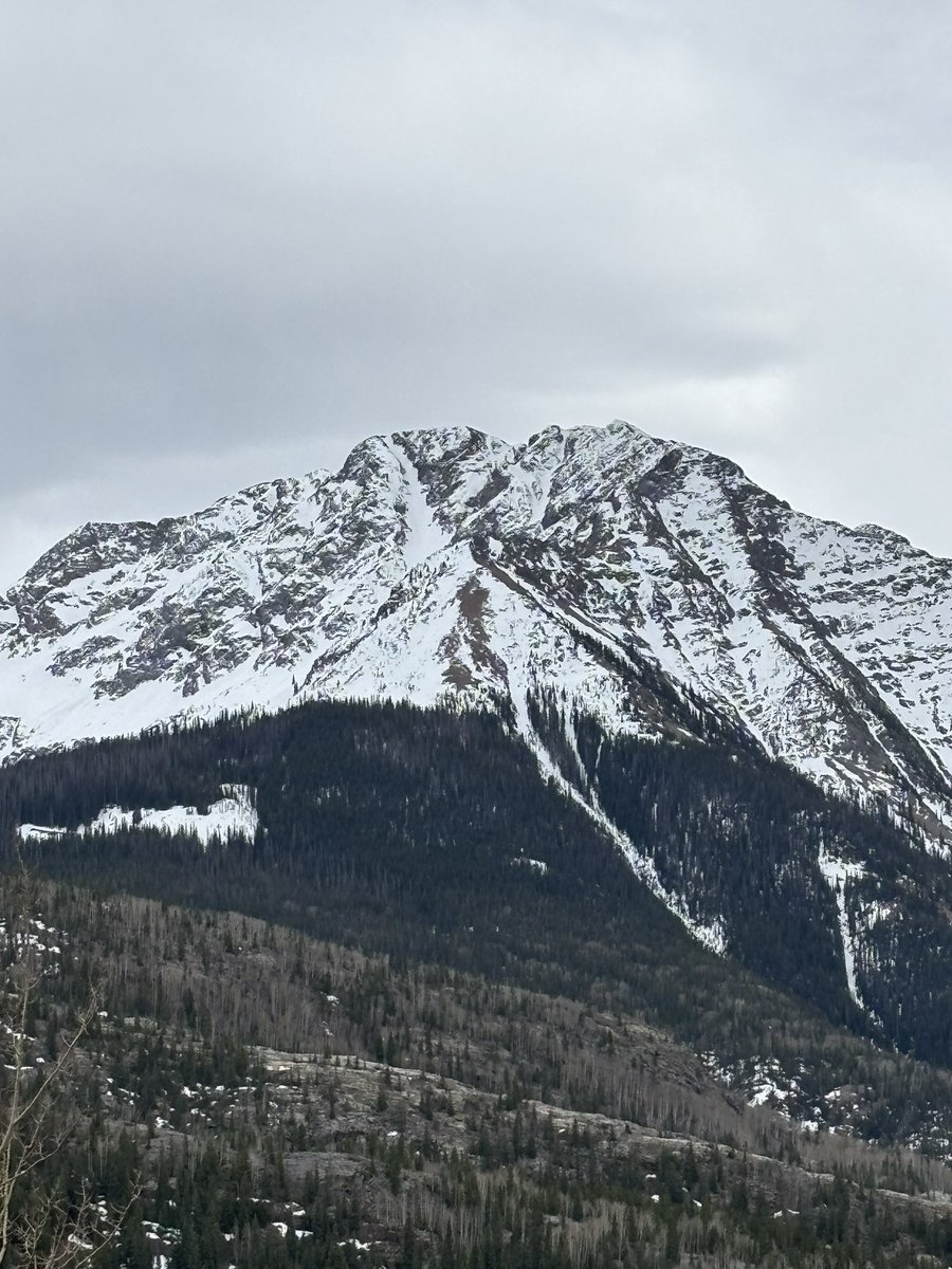 shannon bryan tweet media