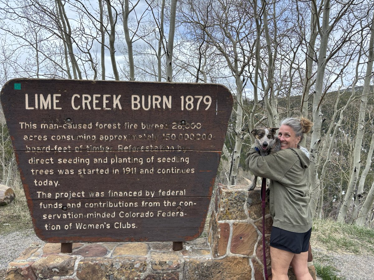 shannon bryan tweet media