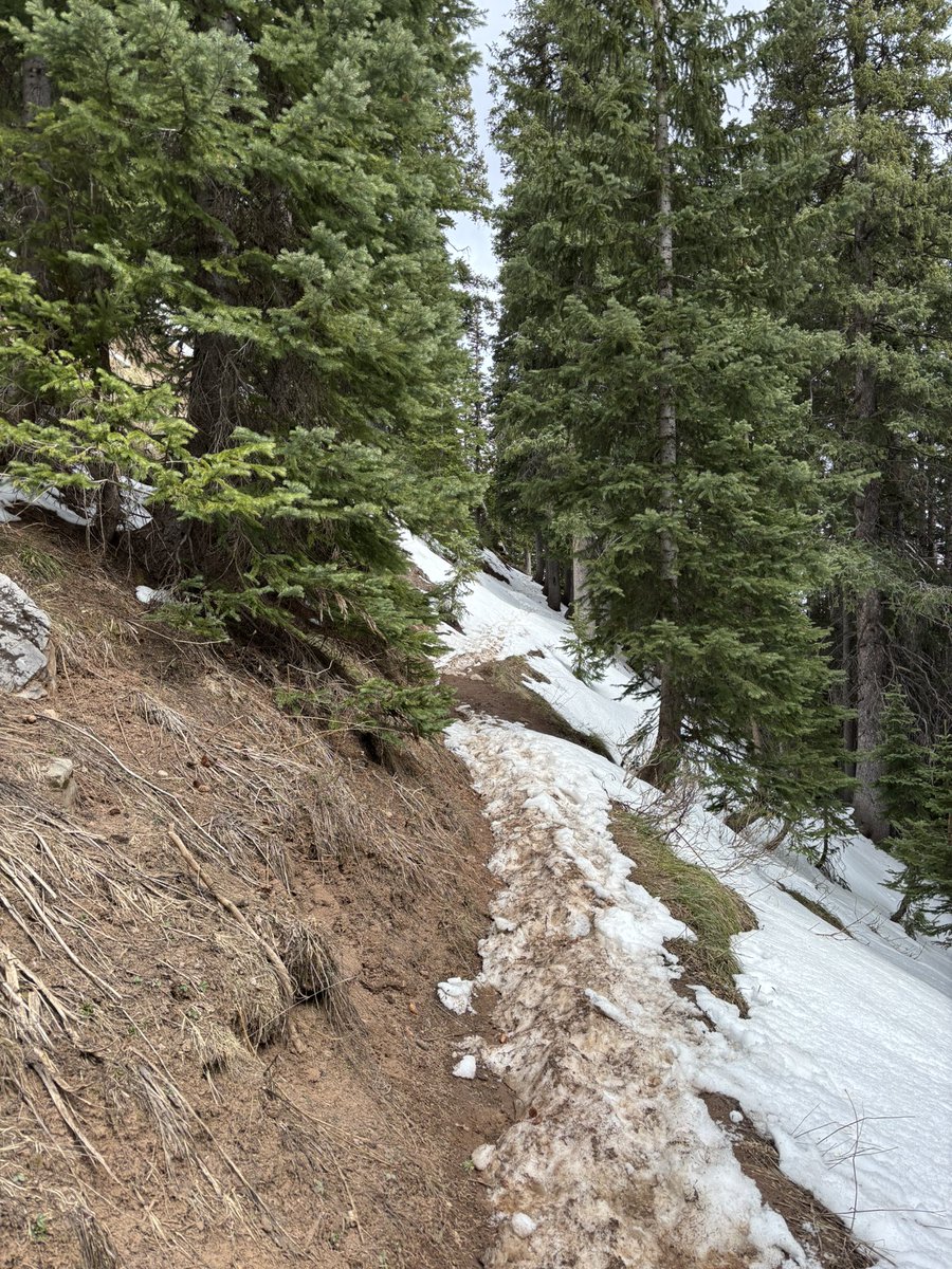 shannon bryan tweet media