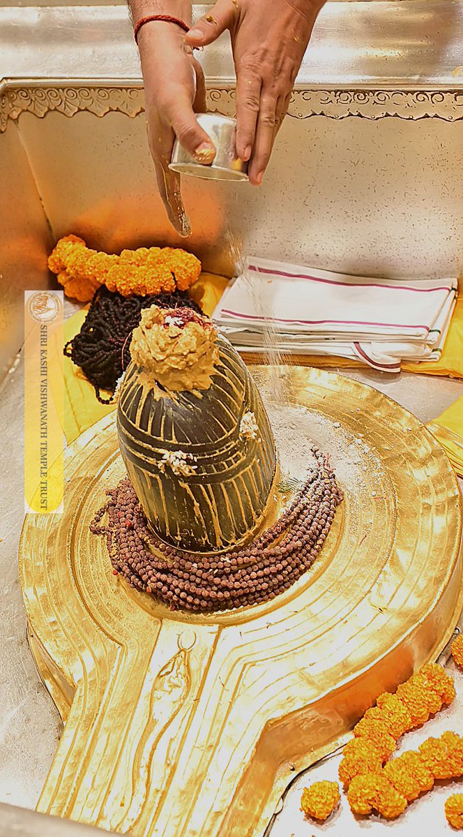 श्री काशी विश्वनाथ जी की मंगला आरती I
#kashivishwanath #kashi #sanatandharma #banaras