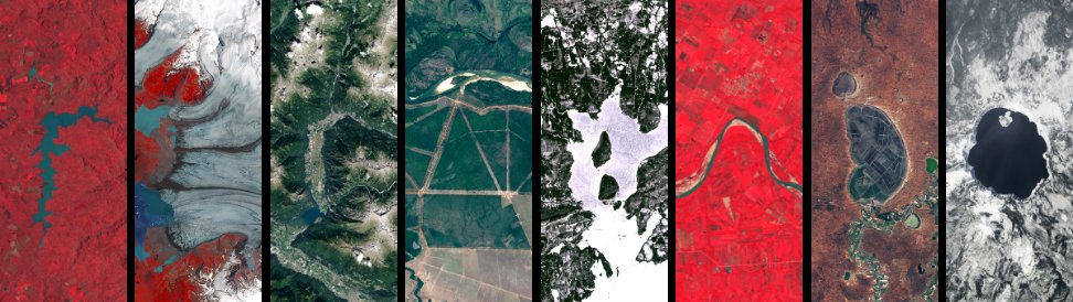 Fernando Paulon tweet media