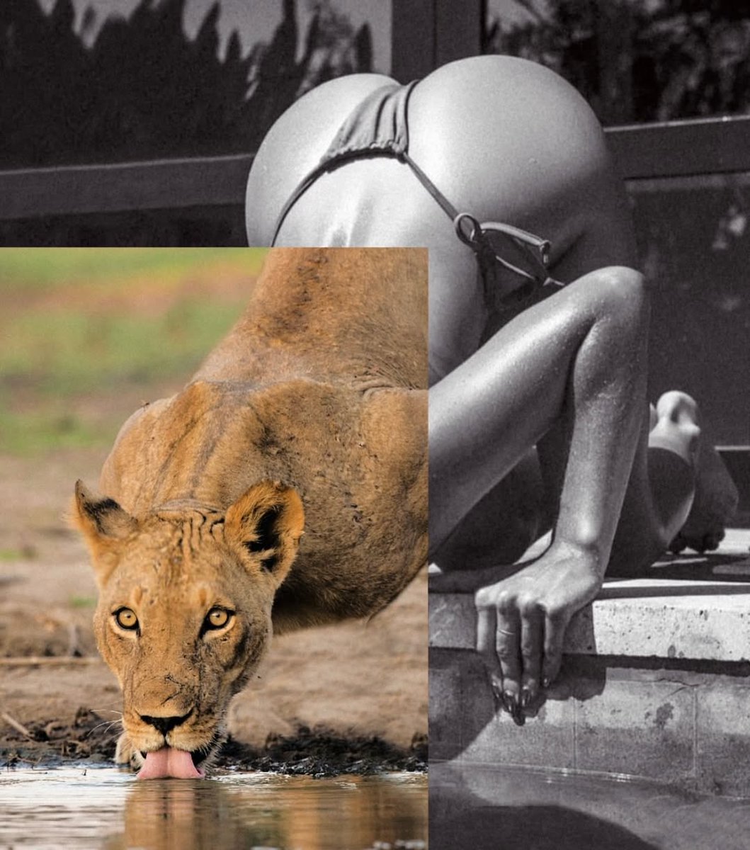 Mini Archillect tweet media