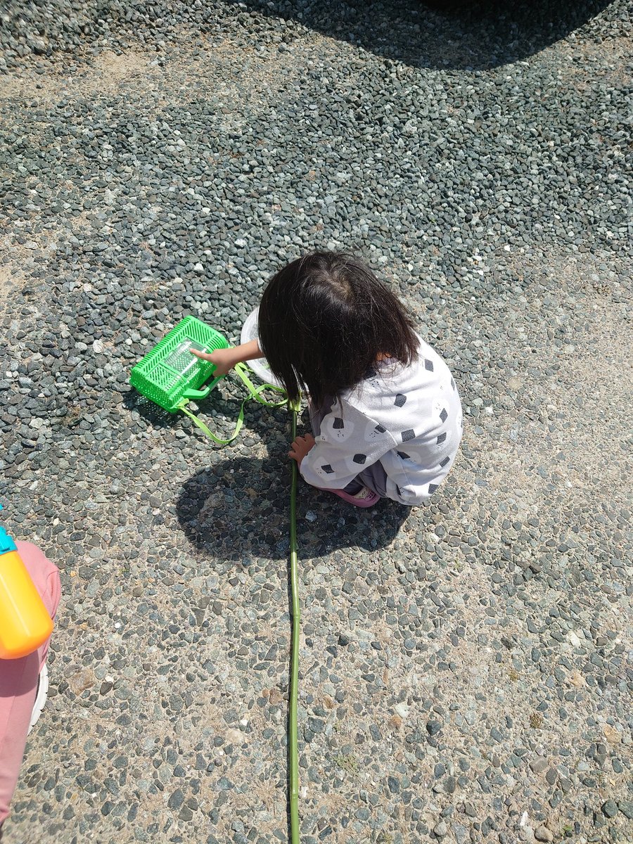 チョメ山てれびくん tweet media