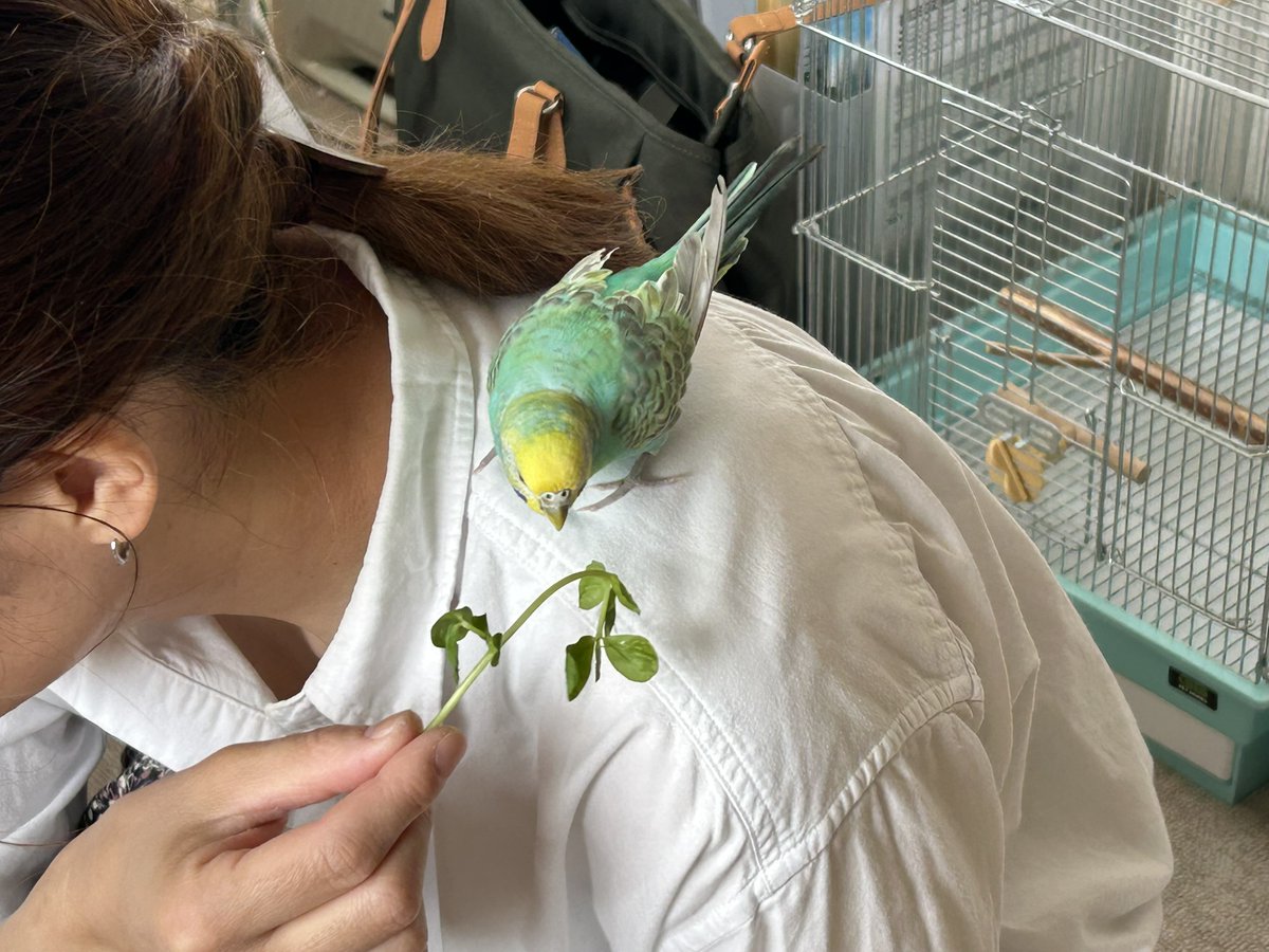 特定非営利活動法人りぐこうべ兵庫 tweet media