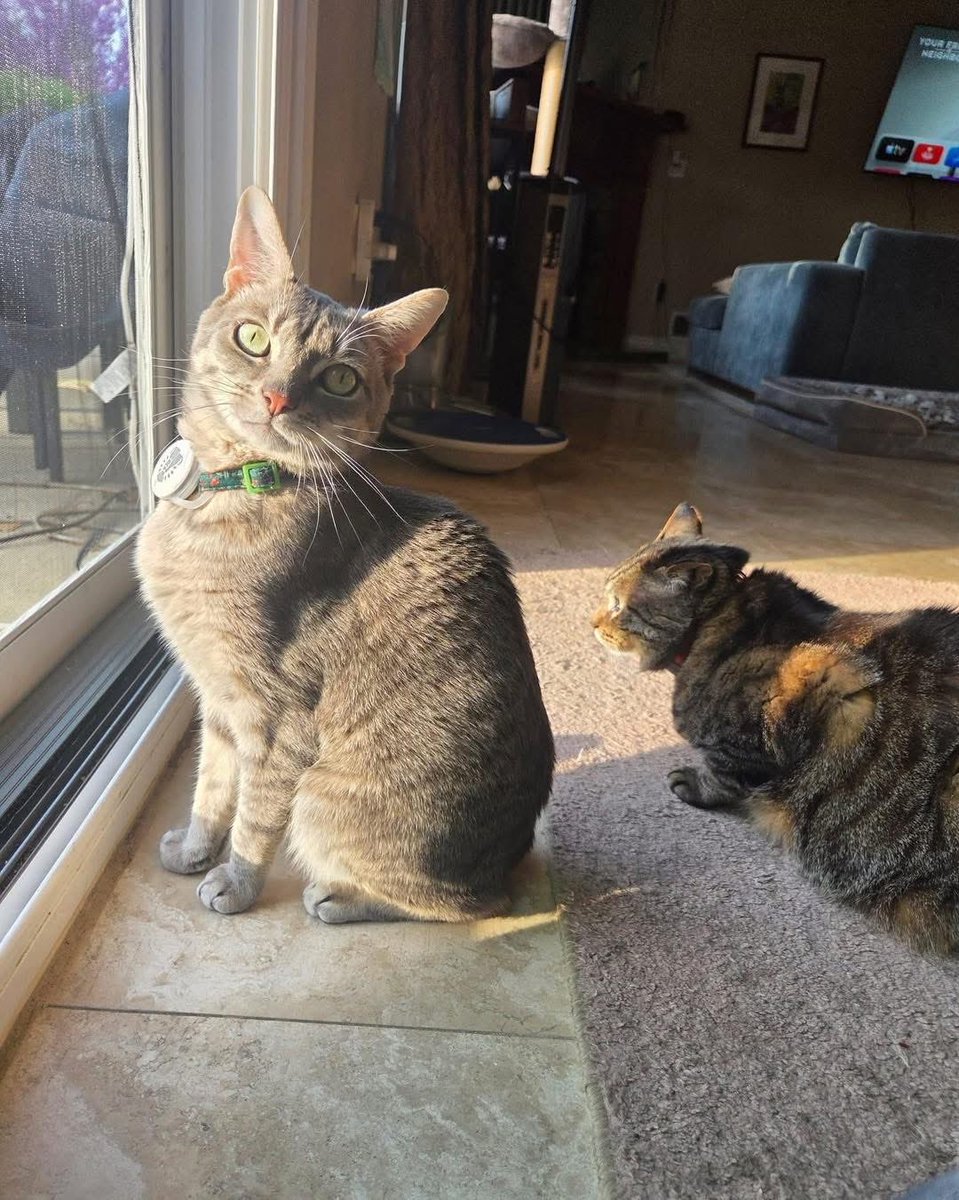 Rescue Ridge tweet media