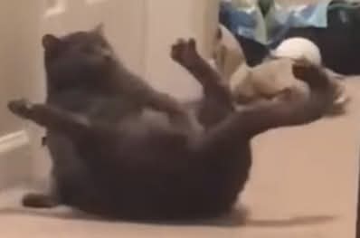 đẹp và tàn nhẫn. tweet media