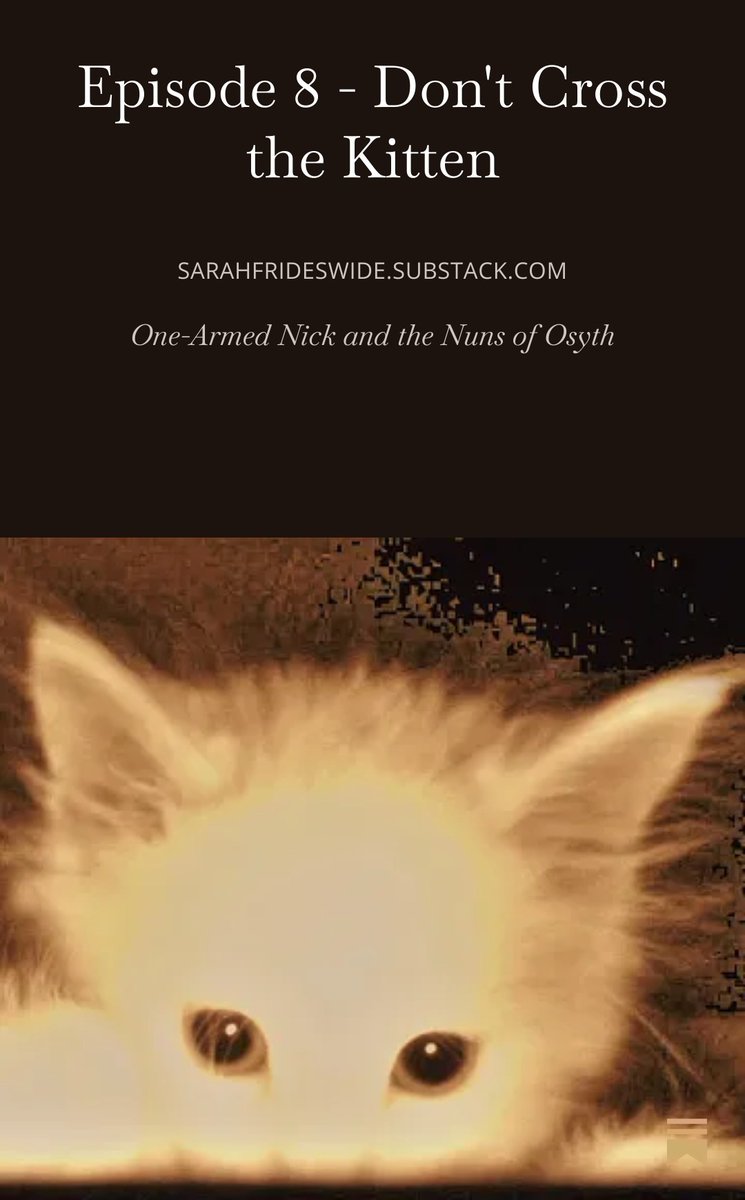 SJFrideswide's tweet image. “It won’t turn back, you know,” said Fluffy Frost. She had paused with one hind leg in the air over her head and was staring at him. sarahfrideswide.substack.com/p/dont-cross-t… #ghost #substack #fiction