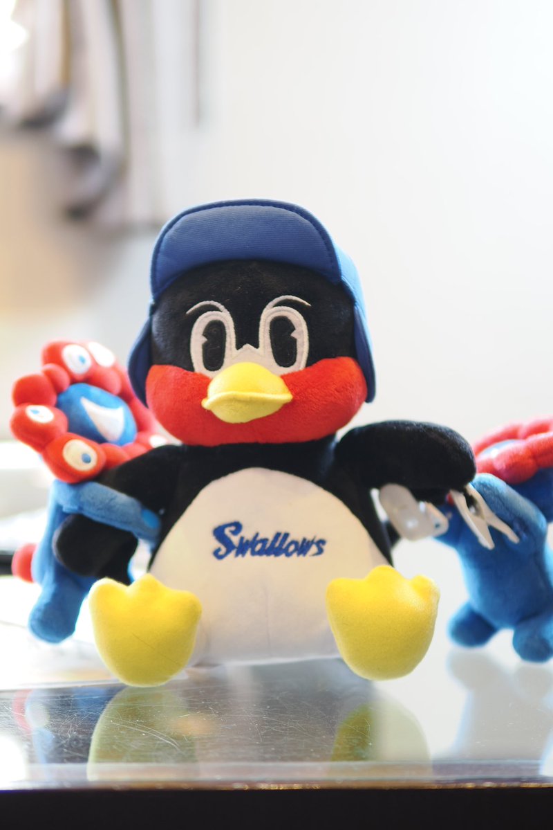 はまち!🐟写メ日記カメラマン tweet media