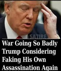 Sandra J Mark tweet media