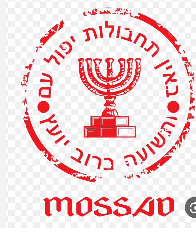 دعم حسابات المجاهدين tweet media