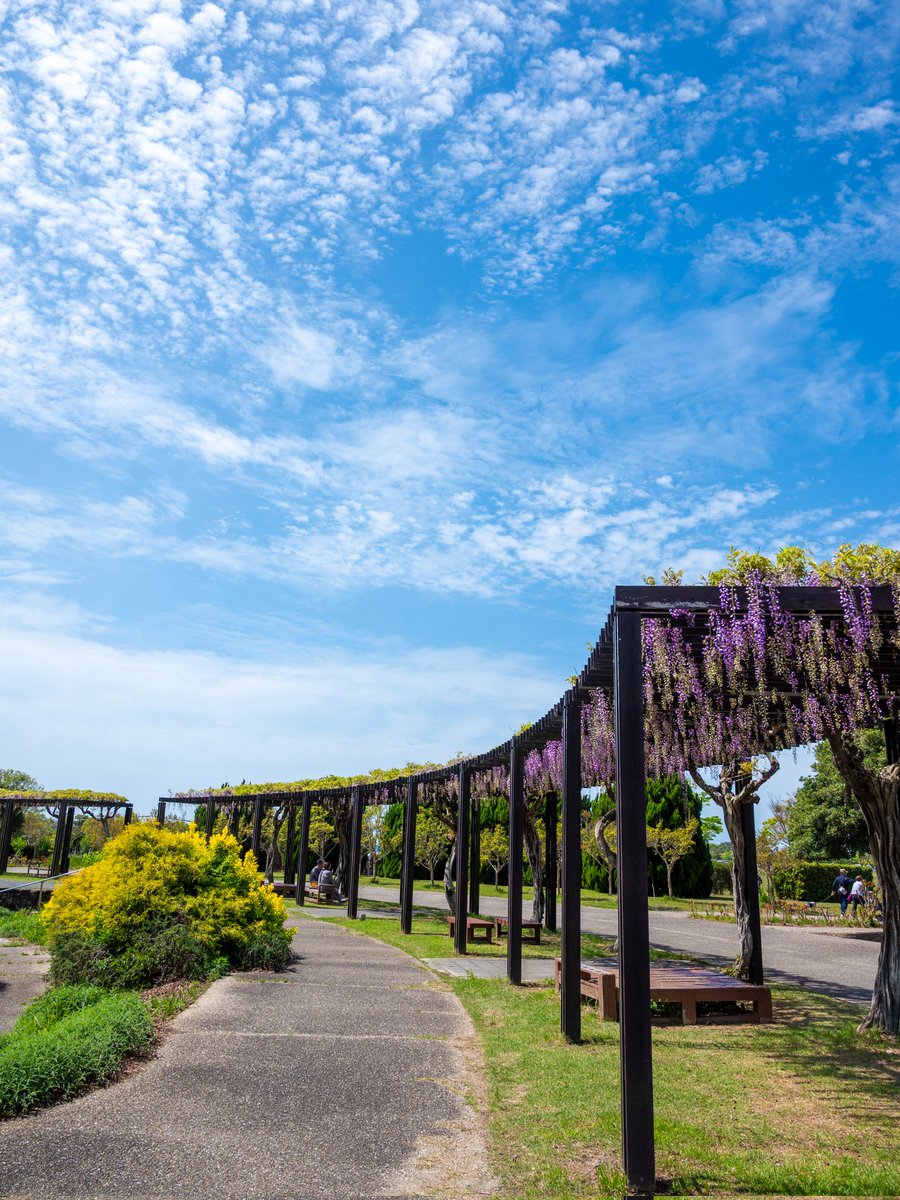 AZ31968560's tweet image. コンビネーション

#walking 
#Nikon