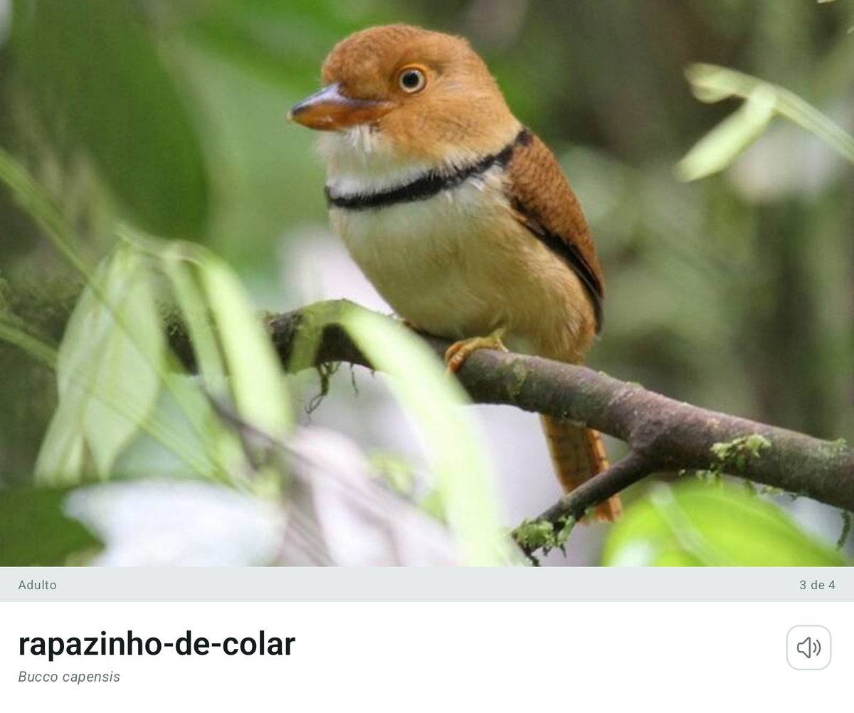 gug ٠࣪⭑ tweet media