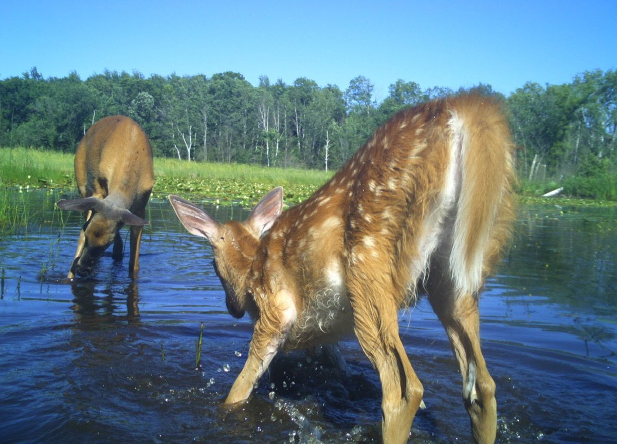 ⋆.·★ ℱₗₒᵣₐ ★·.⋆ tweet media