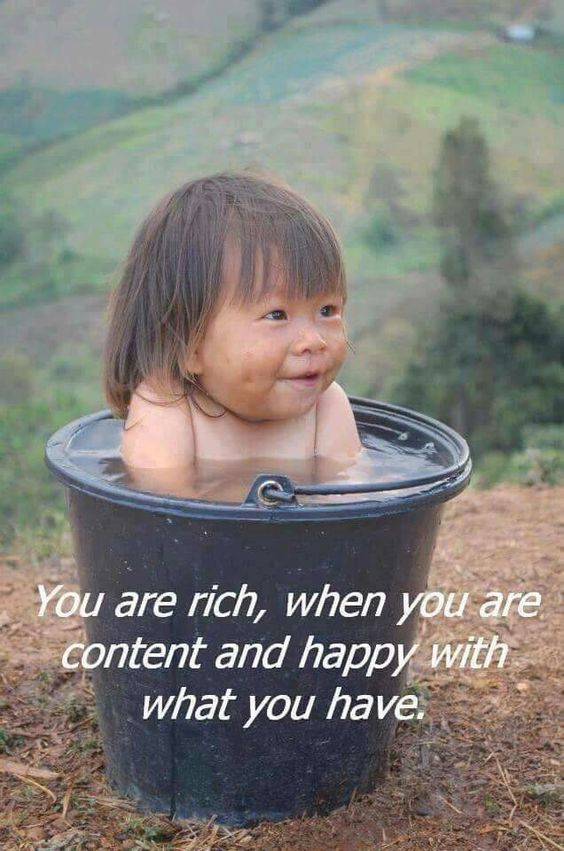 Mindful Maven tweet media