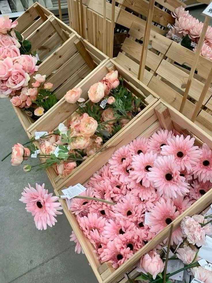 nanay 🍒 tweet media