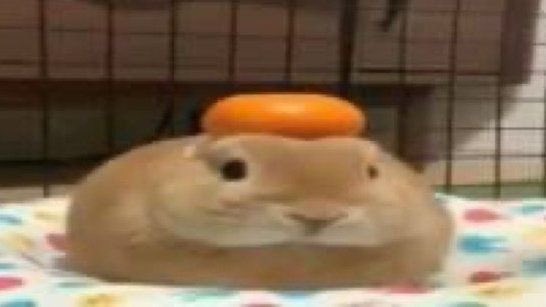 MIEL+ @HIATUS + BIRTHDAY COVER tweet media