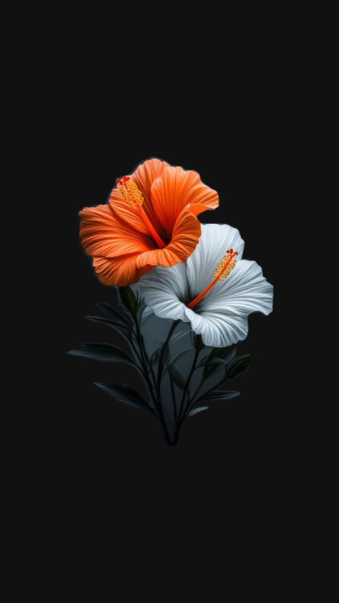 iPhone Wallpapers tweet media