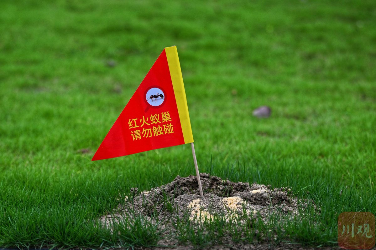 Alex Leite tweet media