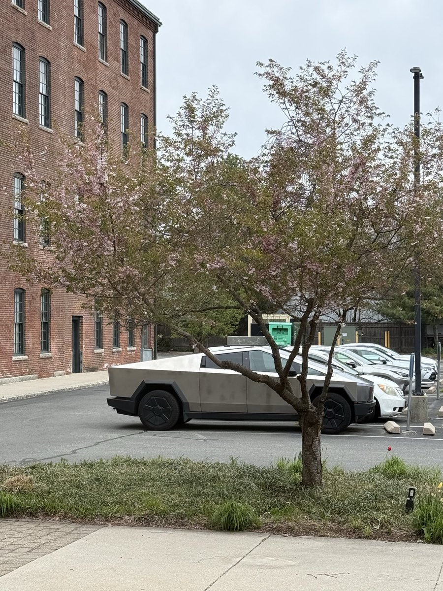 David Leavitt 🎲🎮🧙‍♂️🌈 tweet media