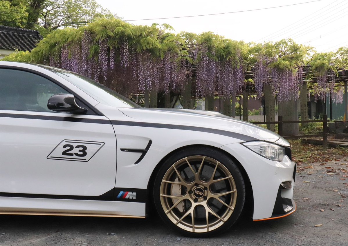 ROLEXTopsecret1's tweet image. 昨日は藤棚と愛車のコラボを撮りに穴場の神社に行ってきましたよ💜⛩️📸
#藤棚 #車 #神社