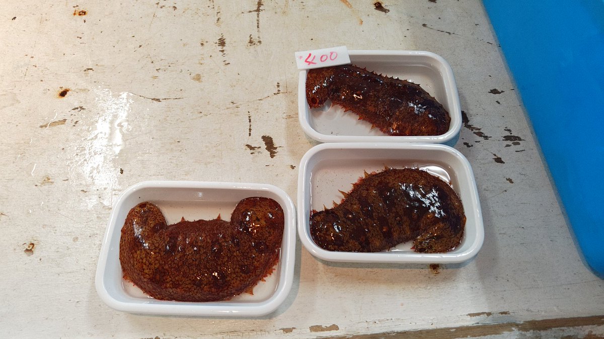 びんちゃん tweet media