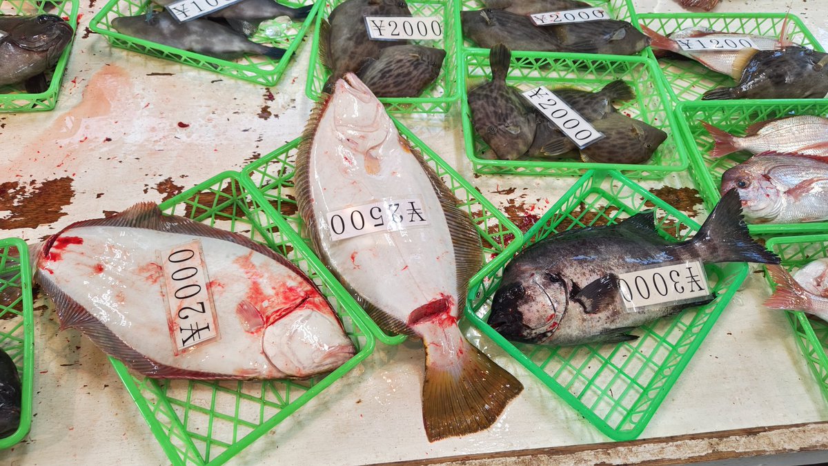 びんちゃん tweet media