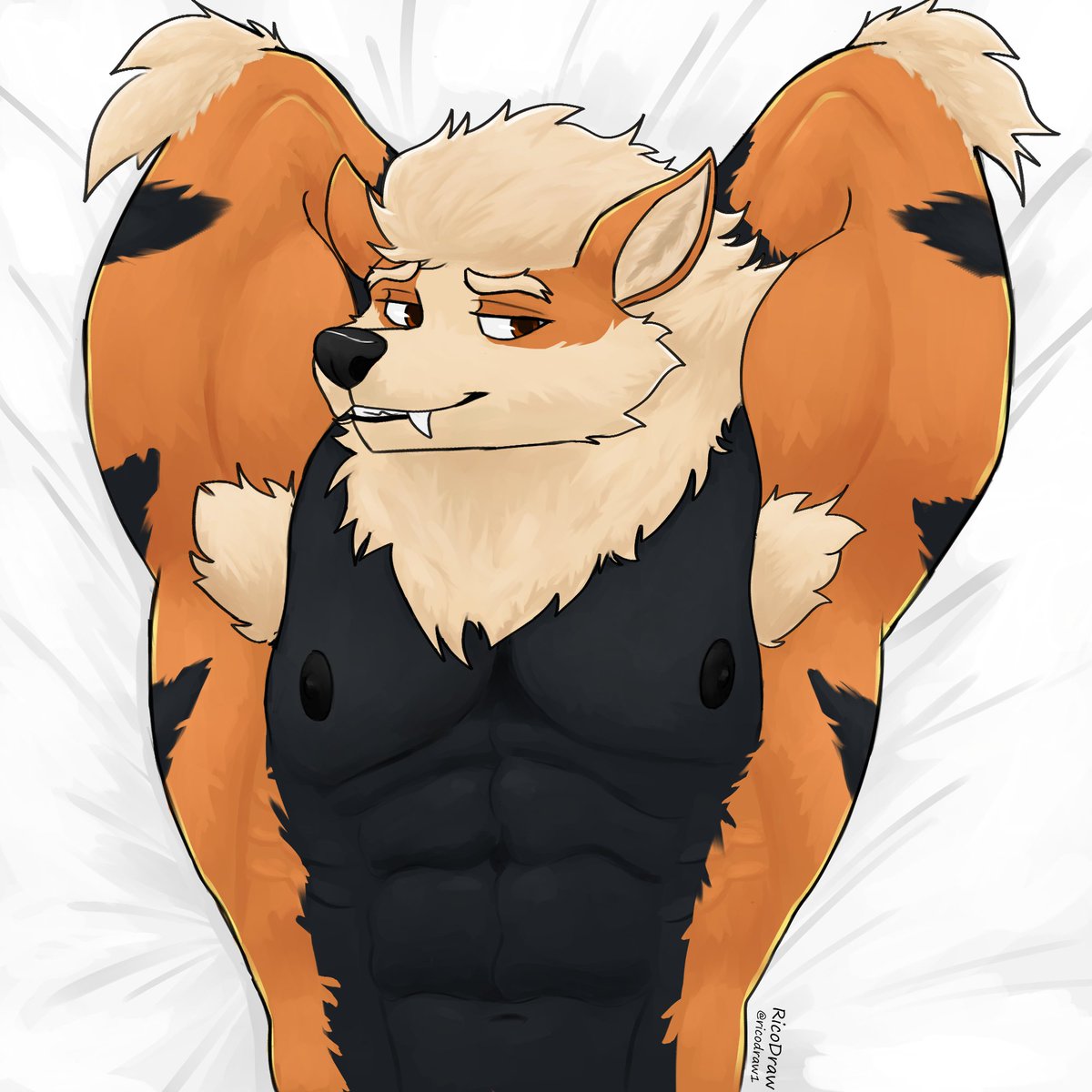 Rico🐾 tweet media