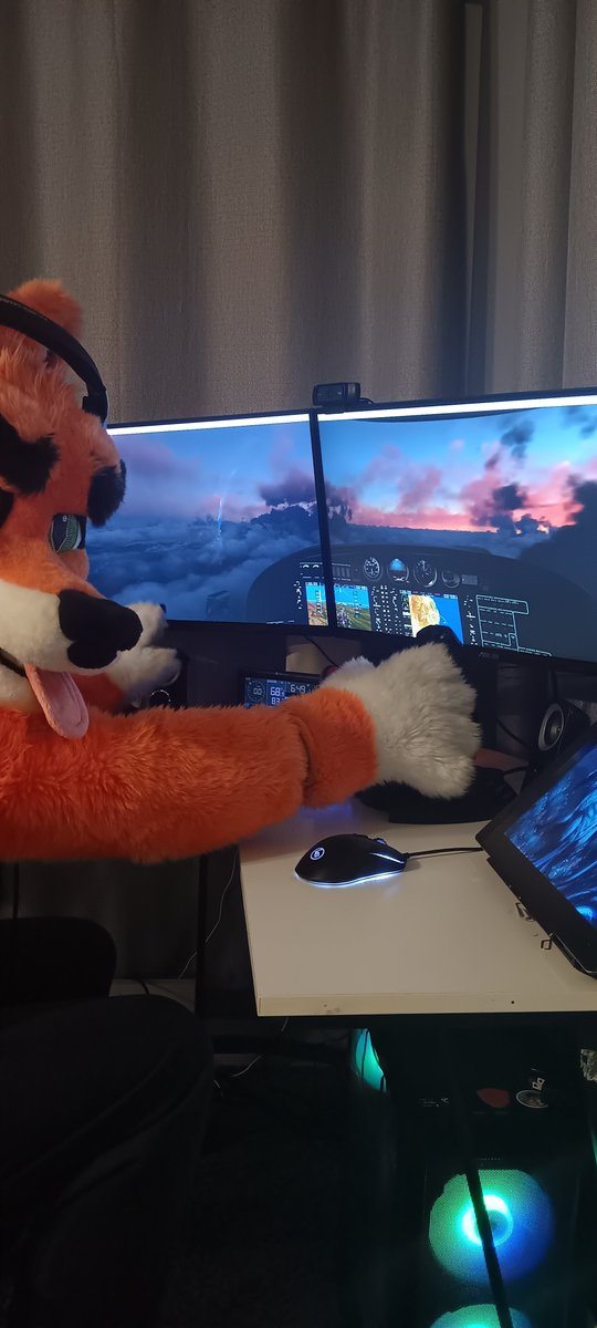 Skylar Darkfox tweet media