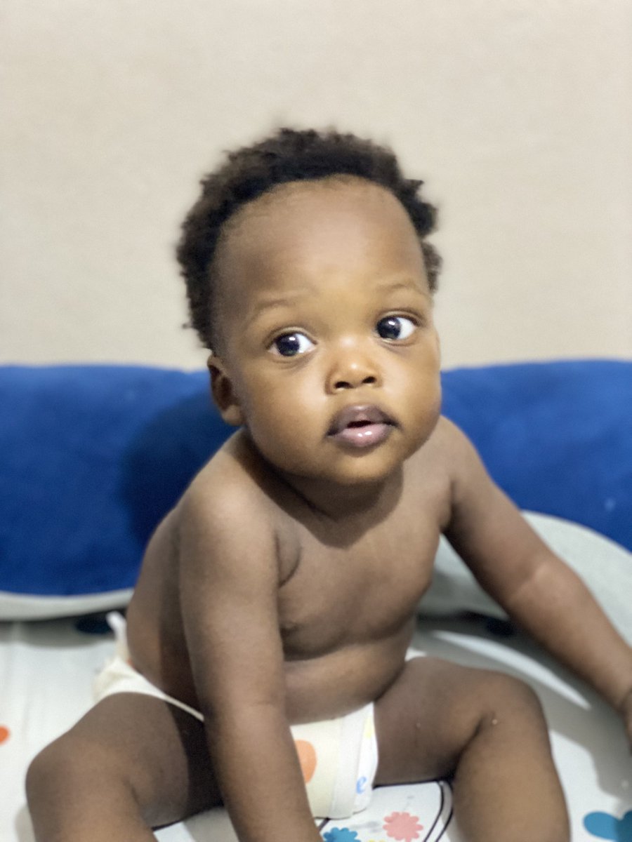 ~ Royal 🕊️ tweet media