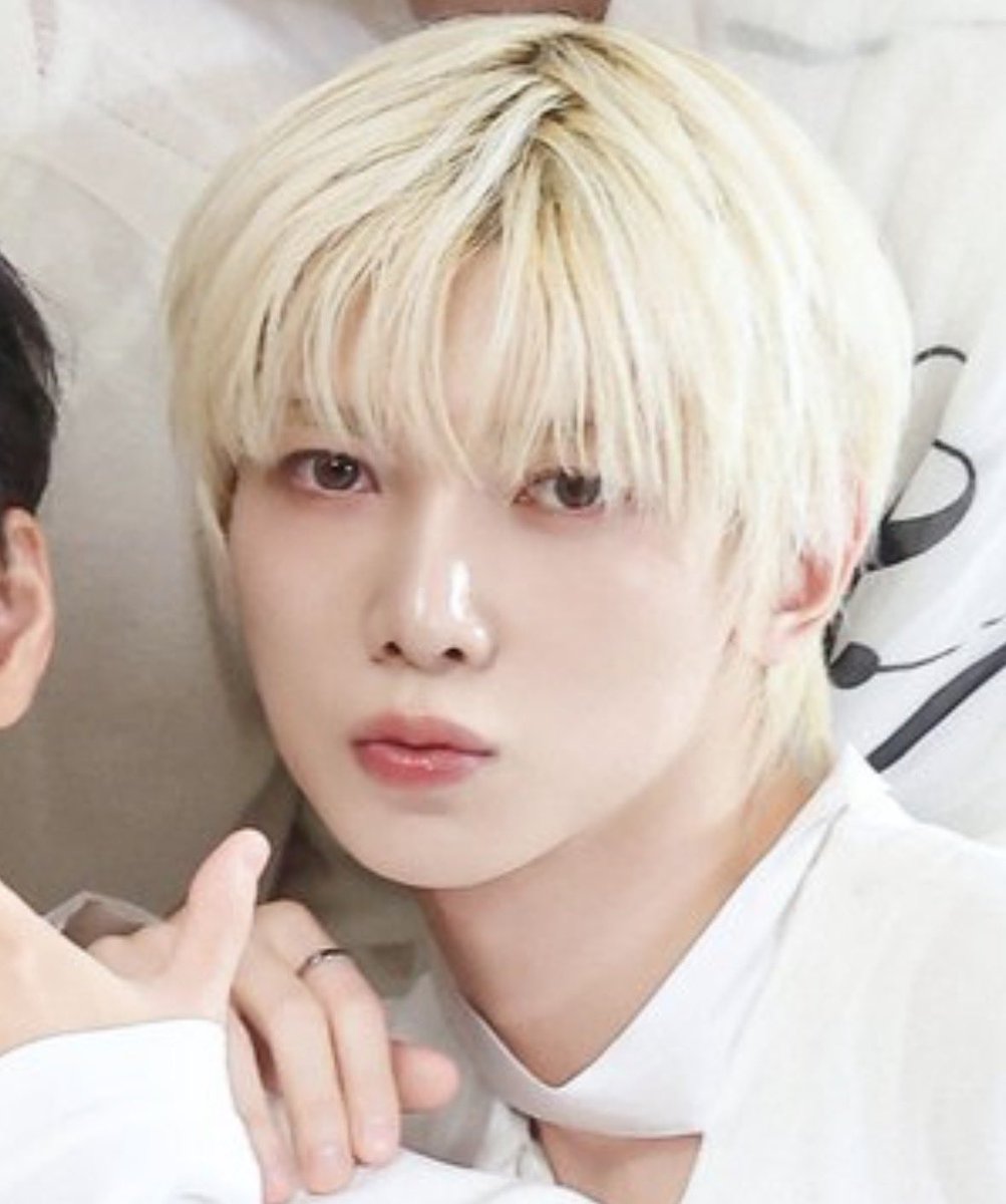 ドカ犬 tweet media