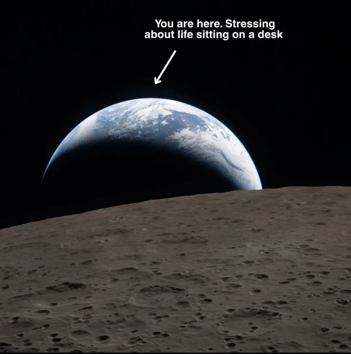 information investing tweet media