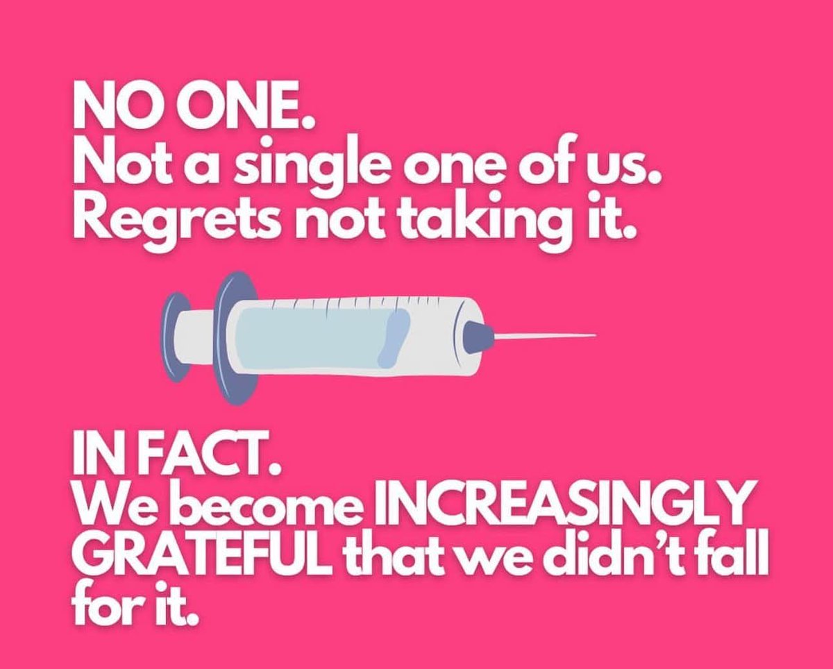 muffy kittens 🦘🇦🇺🌷🌍🦜🐕🐕 tweet media