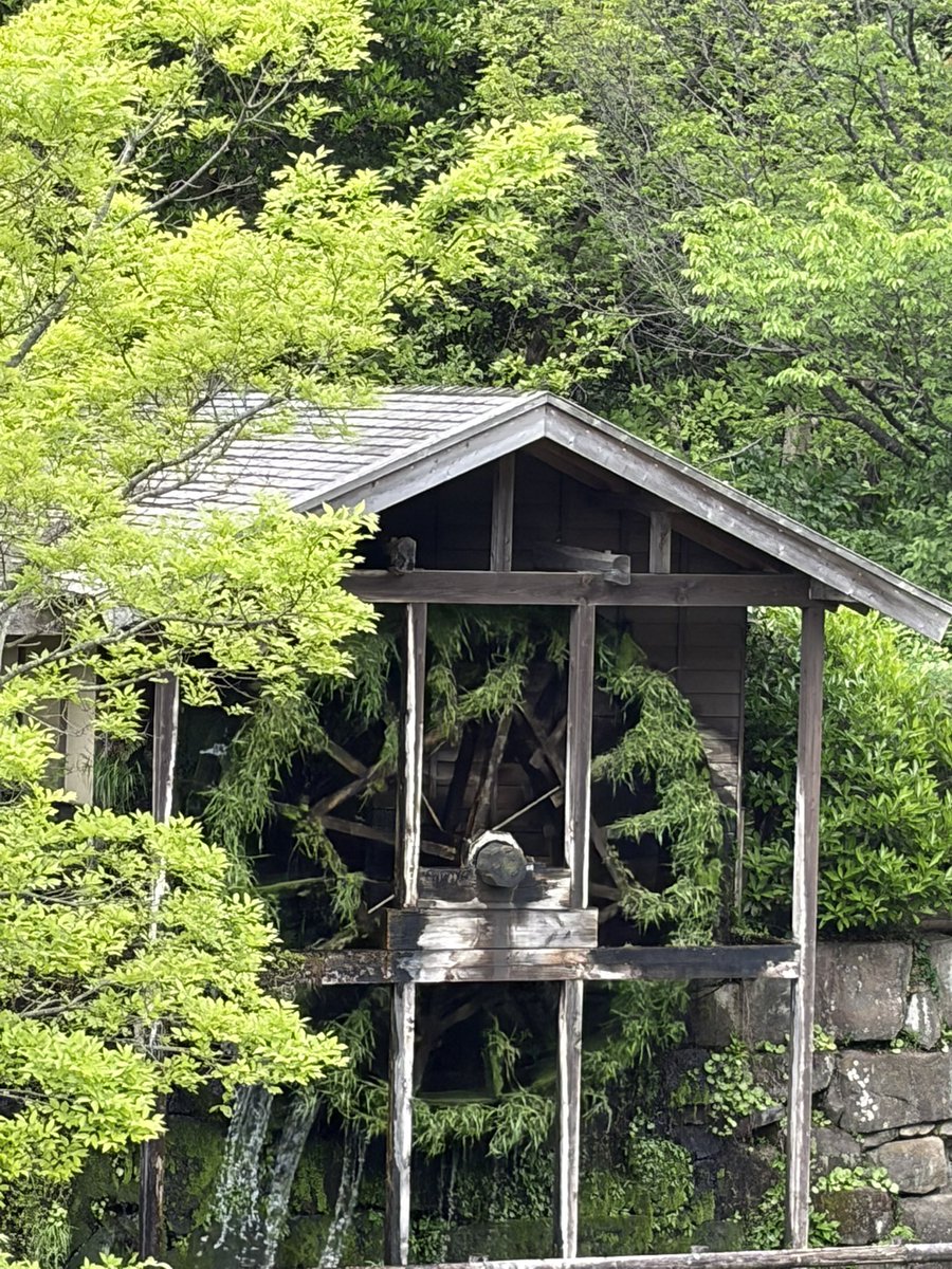 スカ―レットAYAKO･ M tweet media