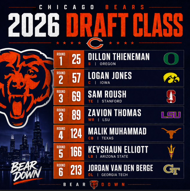 Cork City Bears Fan (Ant) tweet media