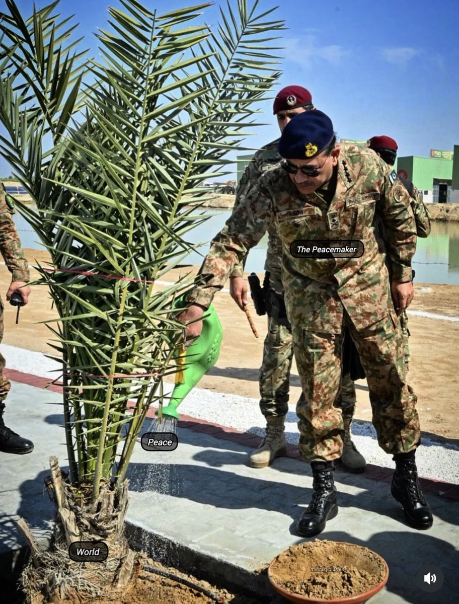 Saad Kaiser 🇵🇰 tweet media