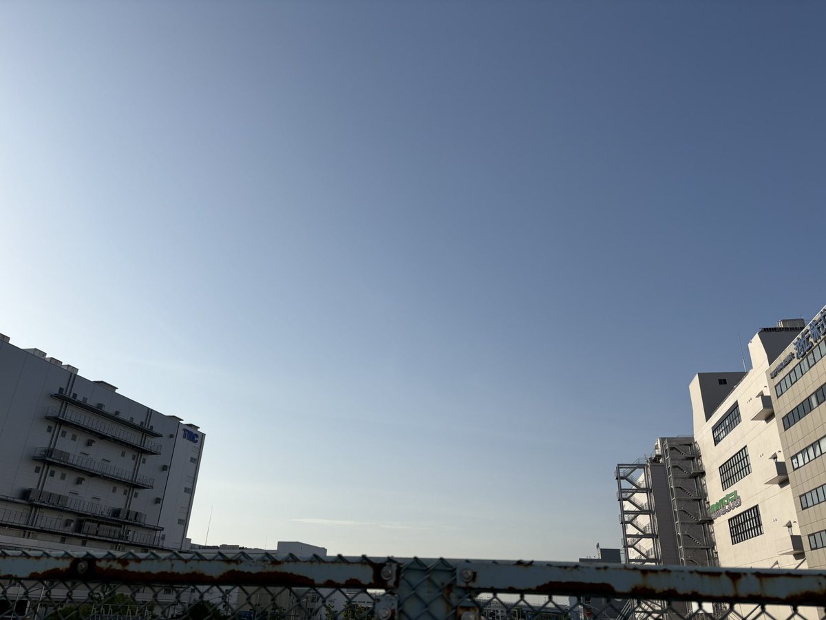 ◯◯のマブサン tweet media