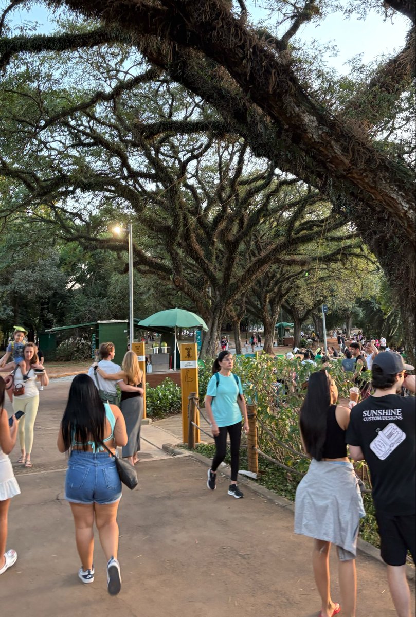Chorume do Grêmio tweet media