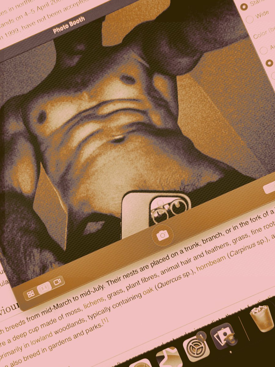 𝖏𝖔𝖍𝖓 𝖈𝖔𝖓𝖘𝖙𝖆𝖓𝖙𝖎𝖓𝖊 tweet media