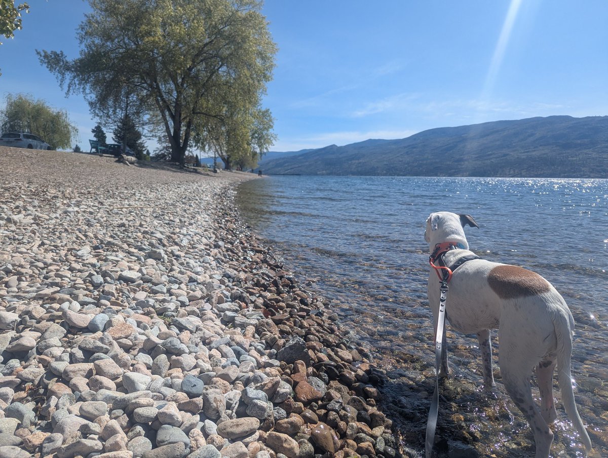 Eriko Sakaki tweet media