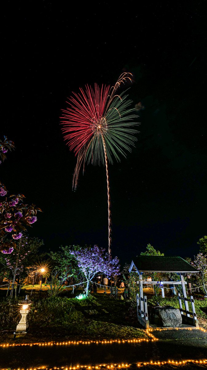 グッチ tweet media