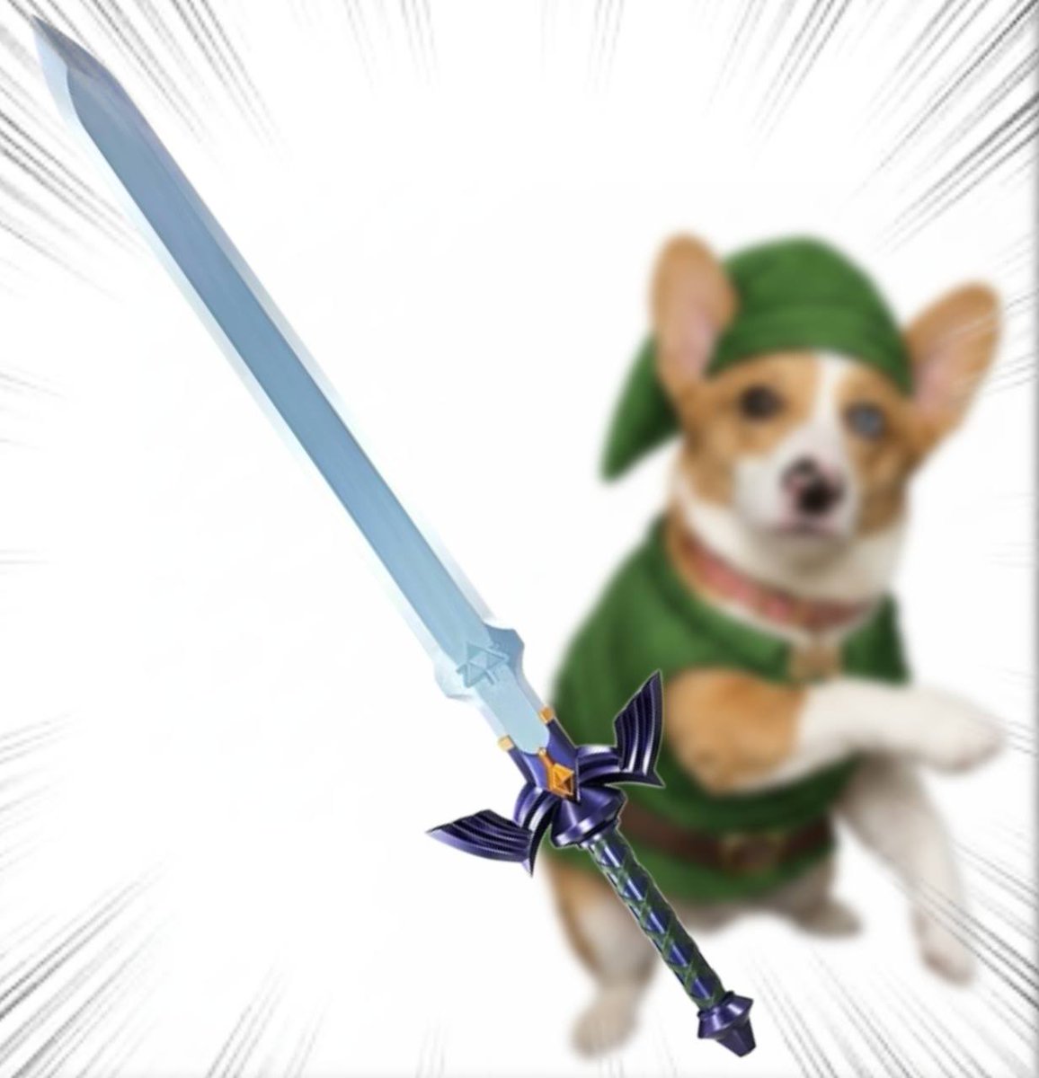 Throwing Things Daily tweet media