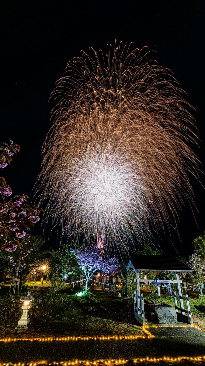 グッチ tweet media