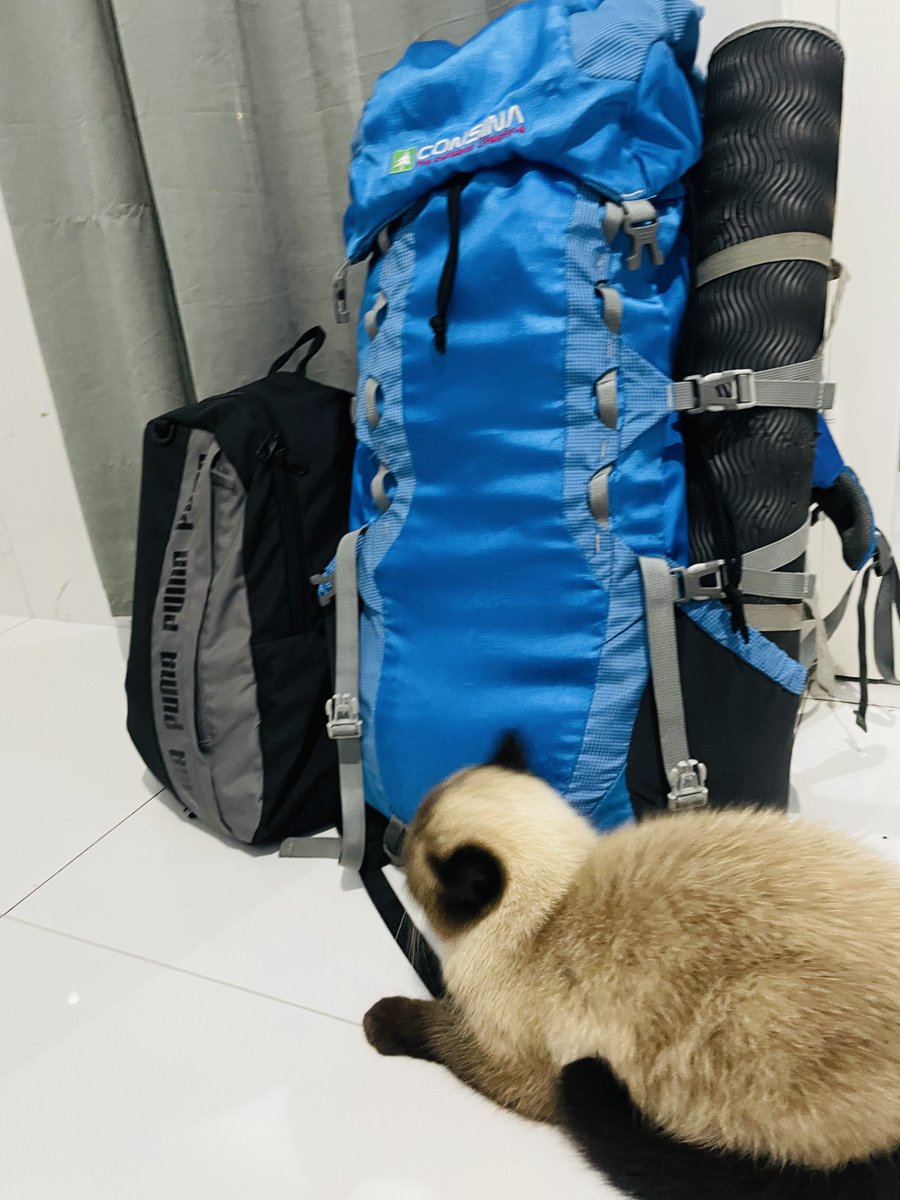 awan |-/ tweet media