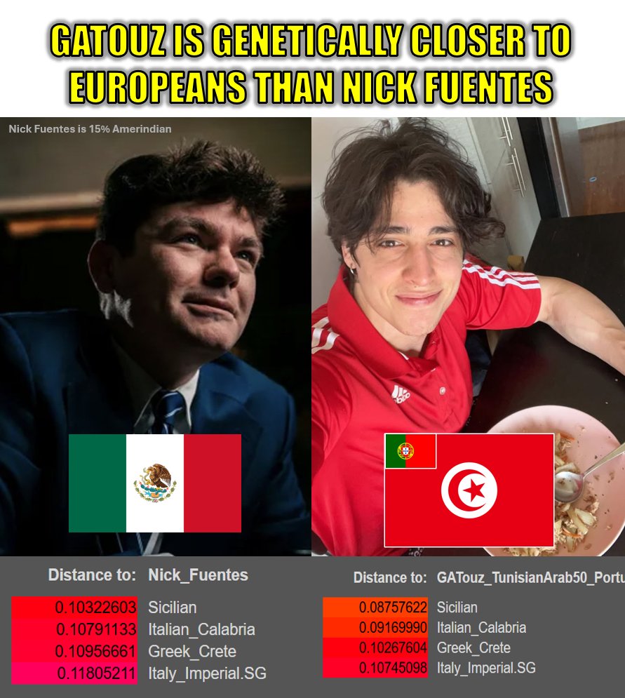 Olmec Head Groyper tweet media