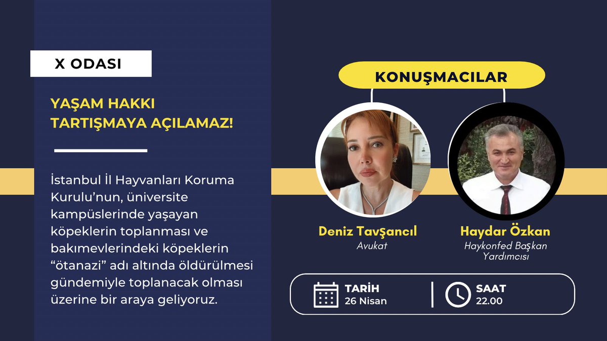 Ayşe Özer tweet media