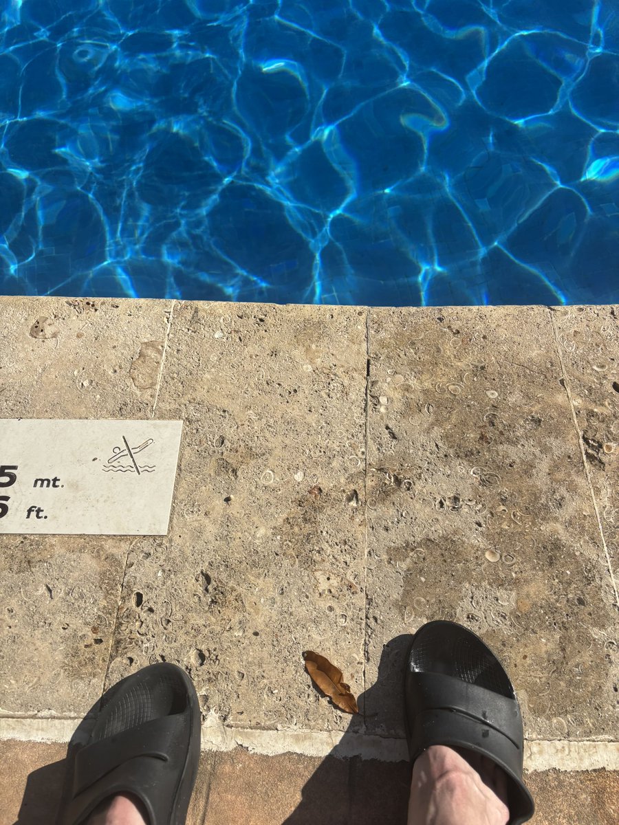 Alex Becker tweet media