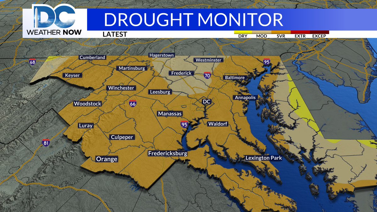 Scott Sumner tweet media